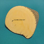 【本象牙】飾り牙先11（割れあり）