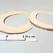 【象牙材料】リング型10（2枚セット）