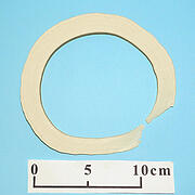 【象牙材料】リング型24