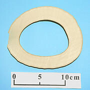 【象牙材料】リング型29