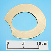 【象牙材料】リング型32