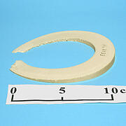 【象牙材料】リング型33