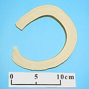 【象牙材料】リング型36