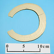 【象牙材料】リング型37