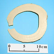 【象牙材料】リング型40