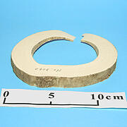 【象牙材料】リング型40