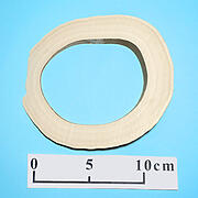 【象牙材料】リング型43