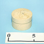 【象牙材料】円柱8