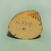 【象牙材料】先端59