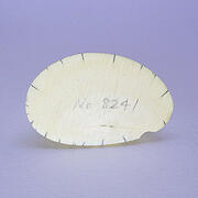 【象牙材料】先端61