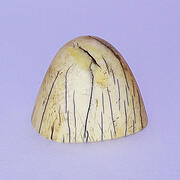 【象牙材料】先端64