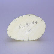 【象牙材料】先端64