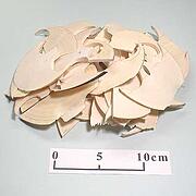 【象牙材料】断ち端2