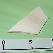 【象牙材料】台形板（かまぼこ状）