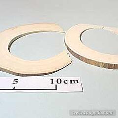 【象牙材料】リング型10（2枚セット）