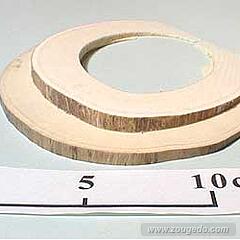 【象牙材料】リング型10（2枚セット）