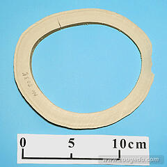 【象牙材料】リング型38