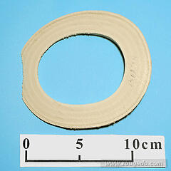 【象牙材料】リング型41