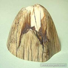 【象牙材料】先端30