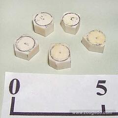 【象牙材料】ボタン型特厚11（角付・5個セット）