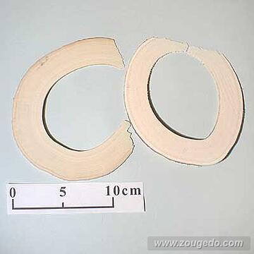 【象牙材料】リング型10（2枚セット）