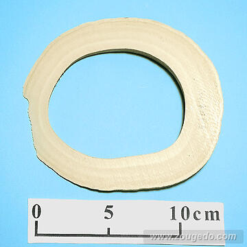 【象牙材料】リング型43