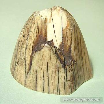 【象牙材料】先端30