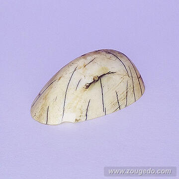 【象牙材料】先端61