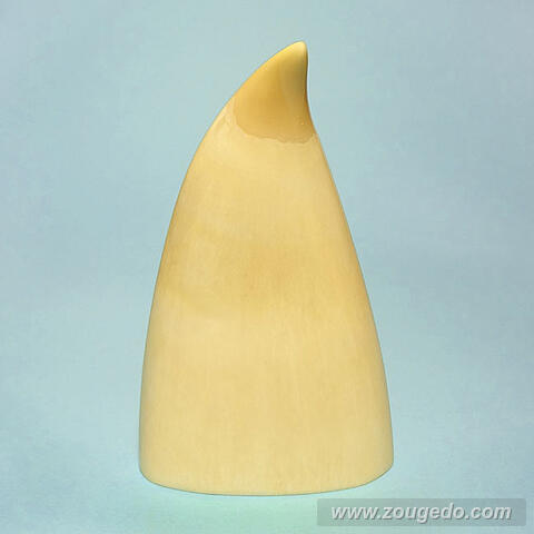 マッコウ鯨歯21