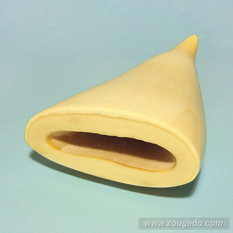 マッコウ鯨歯21