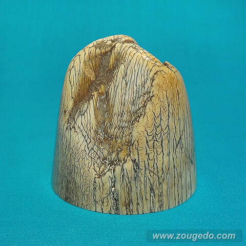 【本象牙】飾り牙先11（割れあり）