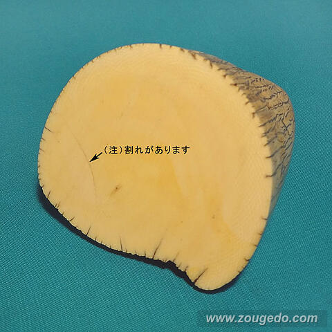【本象牙】飾り牙先11（割れあり）