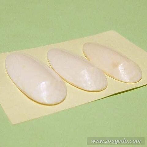 【本象牙】御琴爪山田流