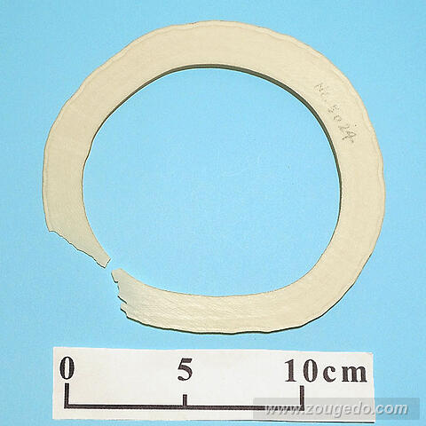 【象牙材料】リング型24