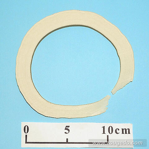 【象牙材料】リング型24