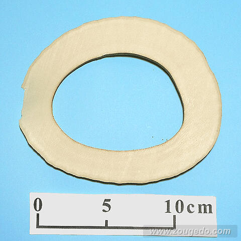 【象牙材料】リング型29