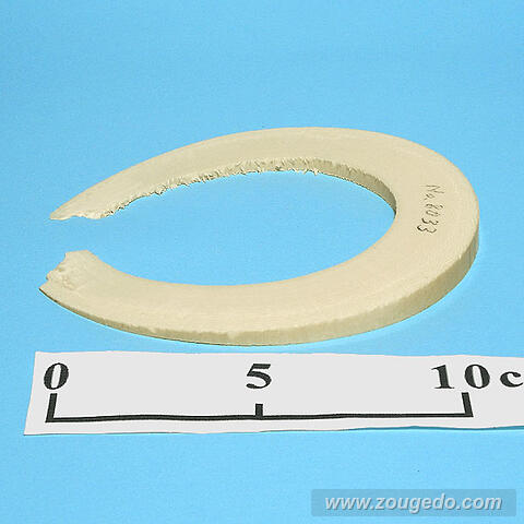 【象牙材料】リング型33