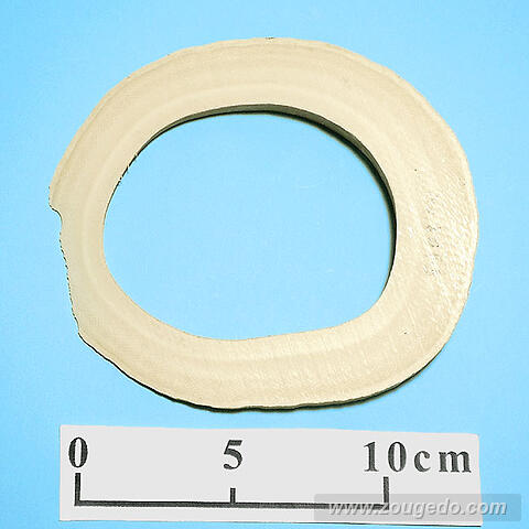 【象牙材料】リング型43