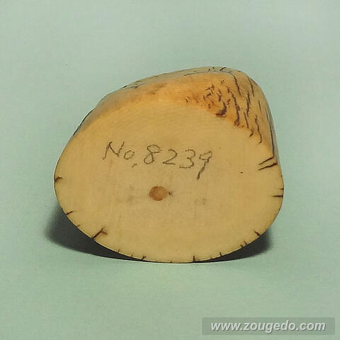 【象牙材料】先端59