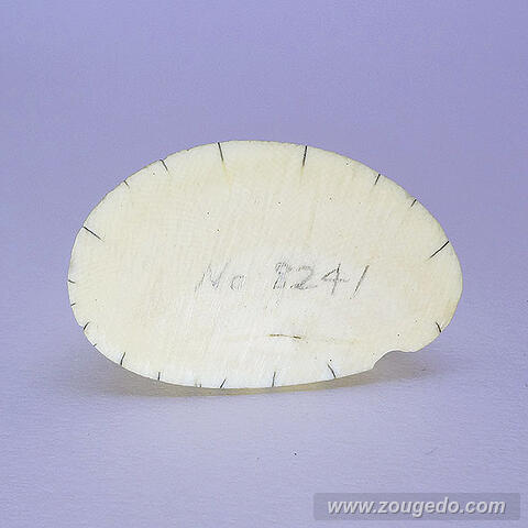 【象牙材料】先端61