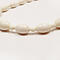 【本象牙ネックレス】カトリーヌ