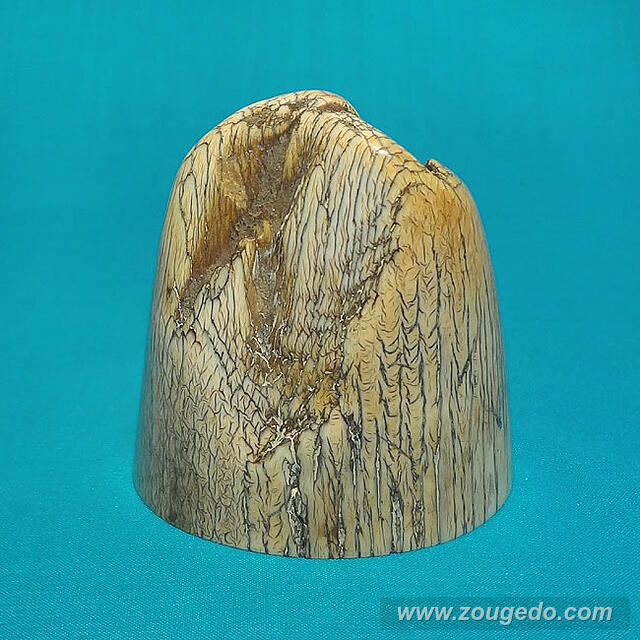 【本象牙】飾り牙先11（割れあり）