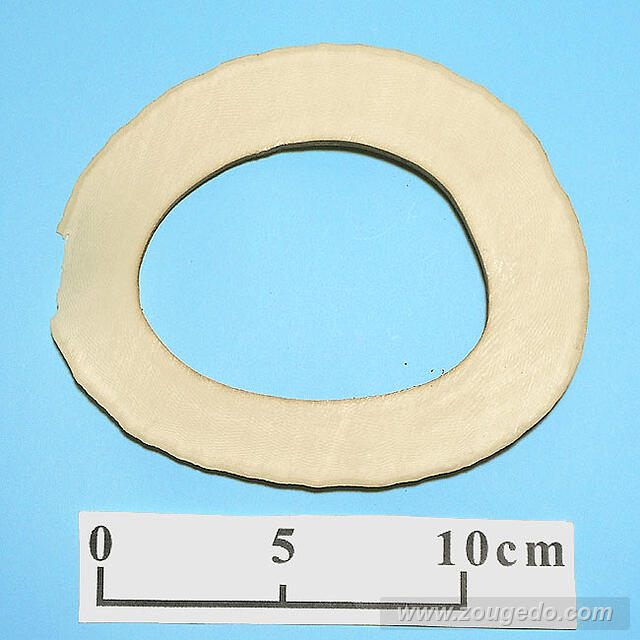 【象牙材料】リング型29