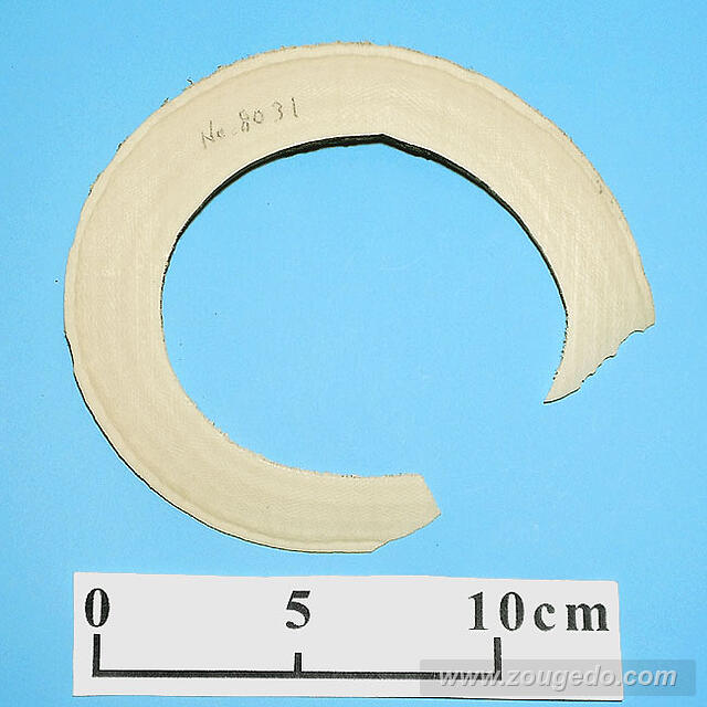 【象牙材料】リング型31