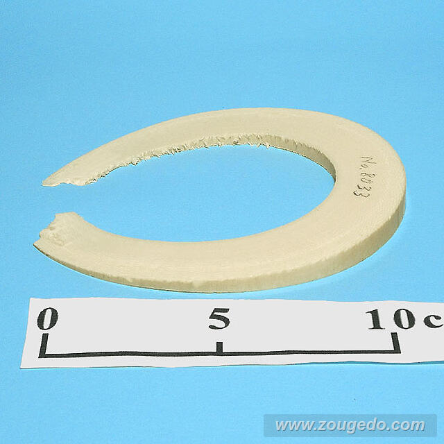 【象牙材料】リング型33