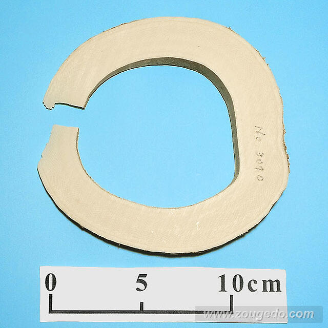 【象牙材料】リング型40