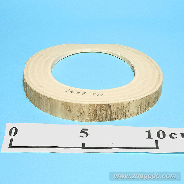 【象牙材料】リング型41