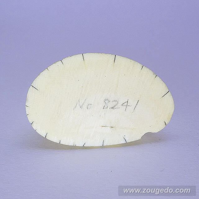 【象牙材料】先端61