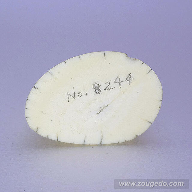 【象牙材料】先端64