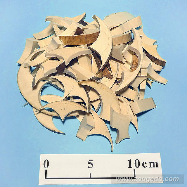 【象牙材料】断ち端1